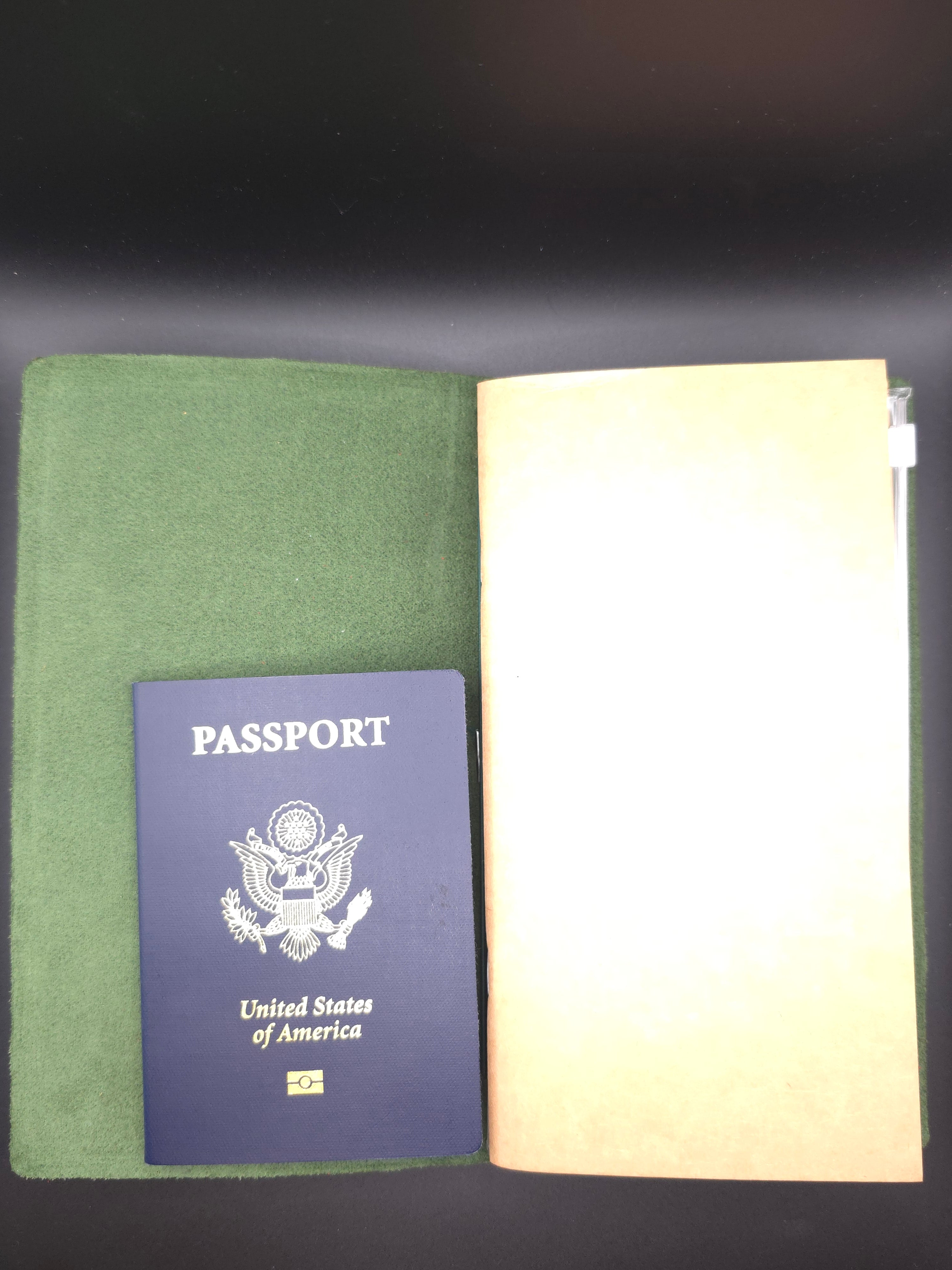 A Fine Line Writing Co. Leather Traveler's Journal – Regular Size (Green)