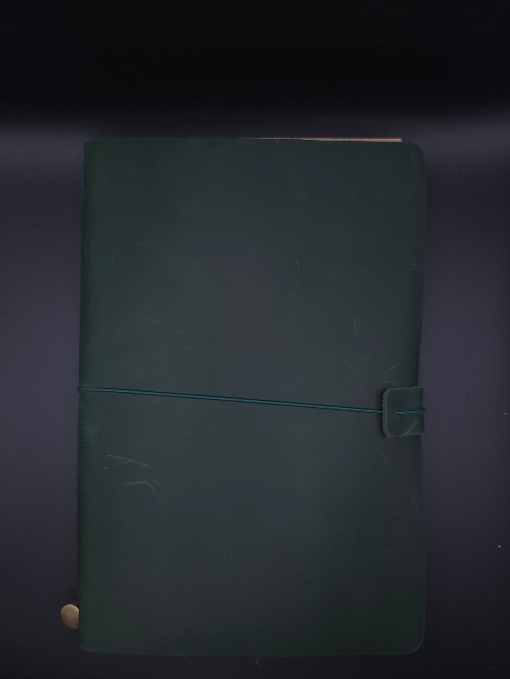 A Fine Line Writing Co. Leather Traveler's Journal – Passport (A5 Size) (green)