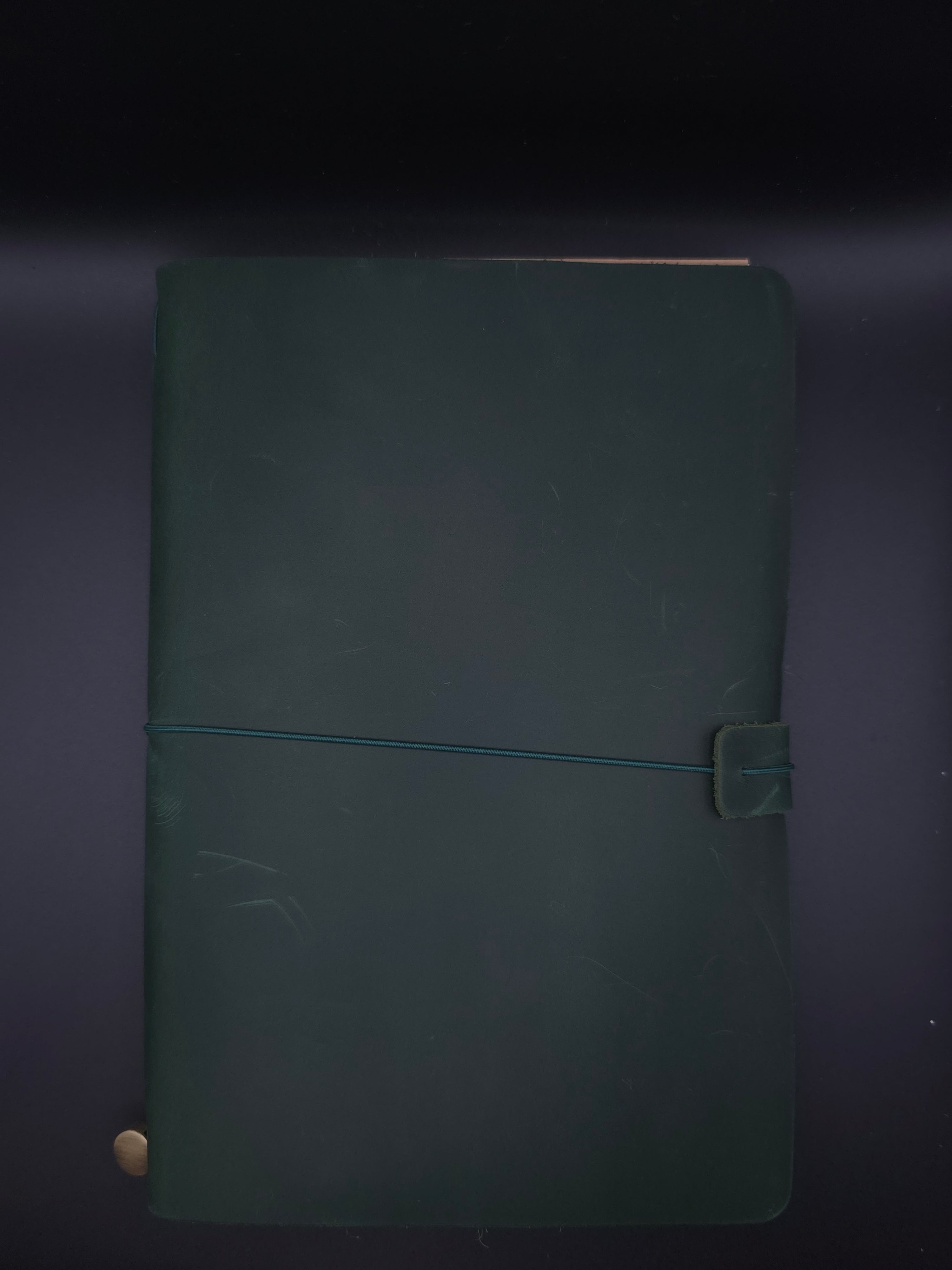 A Fine Line Writing Co. Leather Traveler's Journal – Passport (A5 Size) (green)